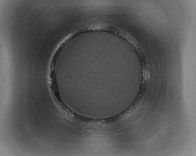 X0000110860724200906251208