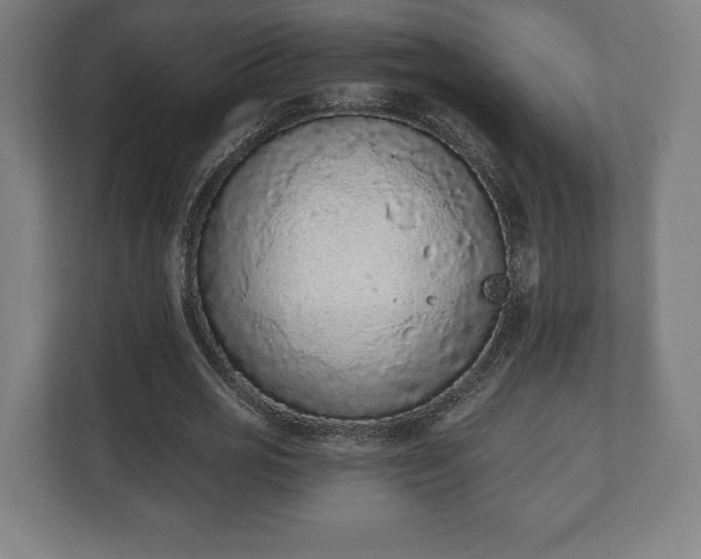 X0000110860725200906251208