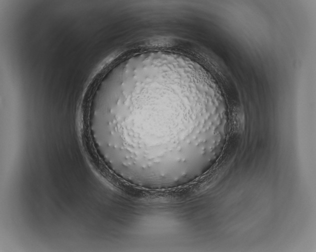 X0000110860726200906251208