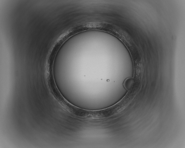 X0000110860727200906251208