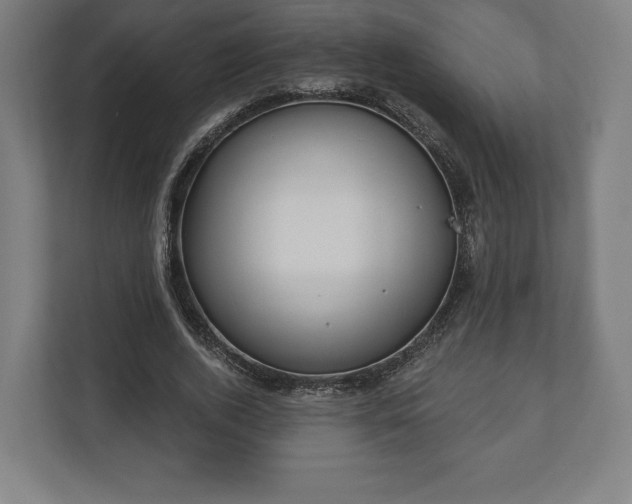 X0000110860728200906251208