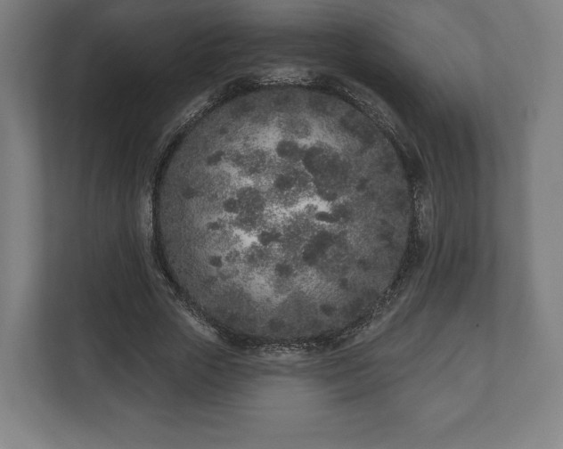 X0000110860729200906251208