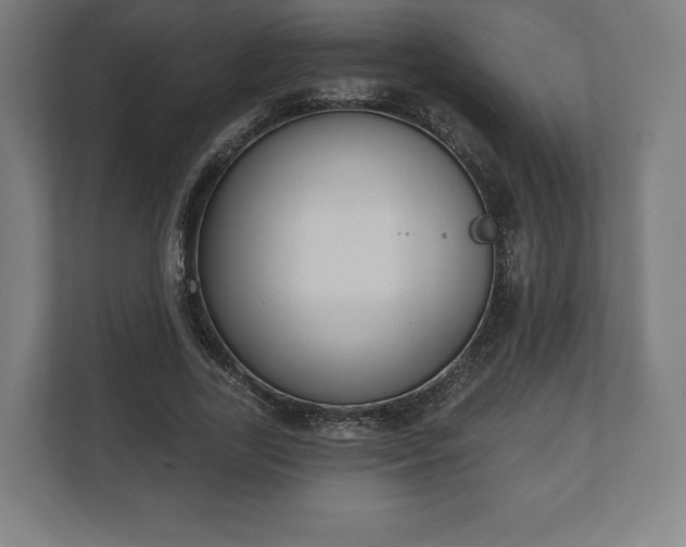 X0000110860731200906251208