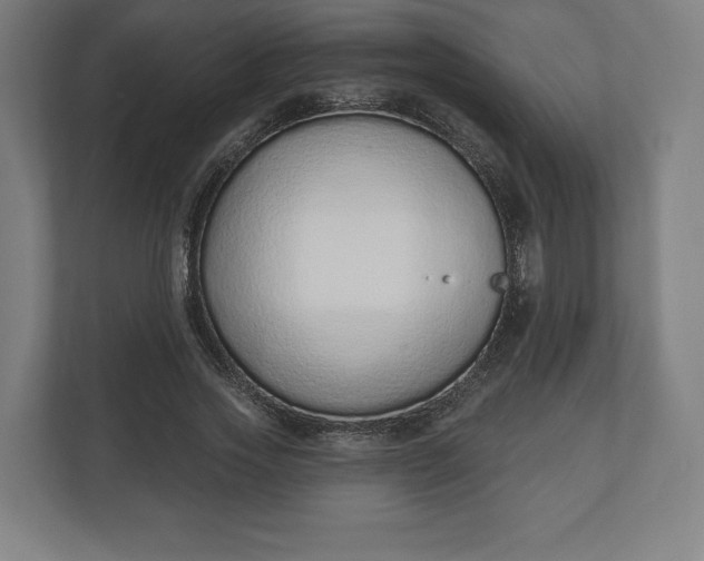 X0000110860733200906251208