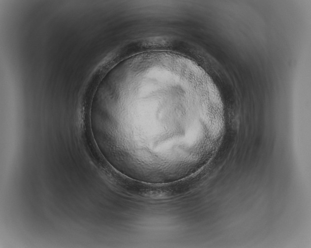 X0000110860735200906251208