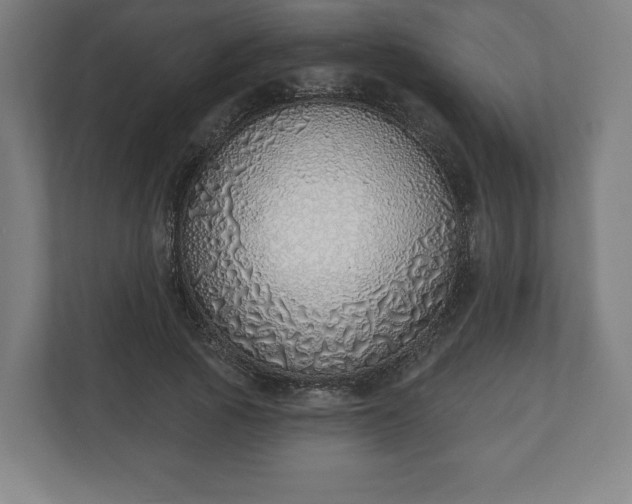 X0000110860737200906251208