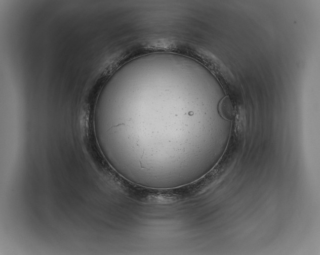 X0000110860739200906251208