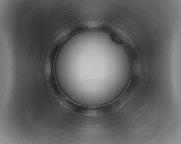 X0000110860740200906251208