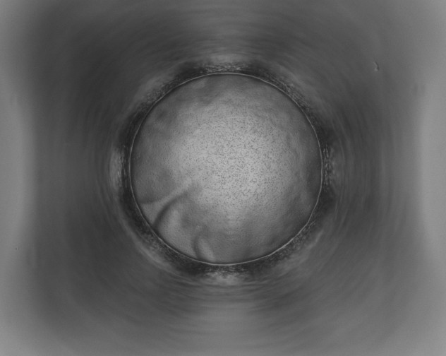 X0000110860742200906251208