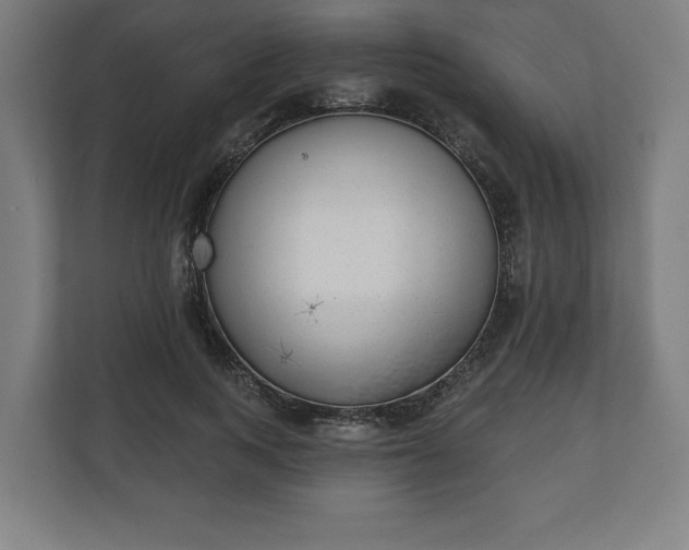 X0000110860743200906251208