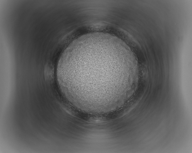 X0000110860745200906251208