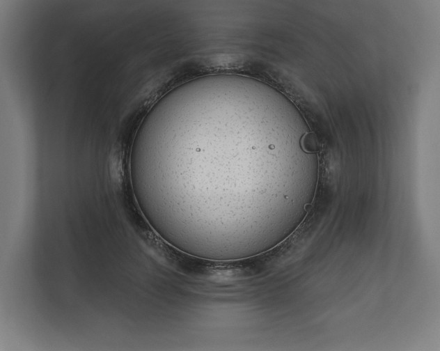 X0000110860746200906251208