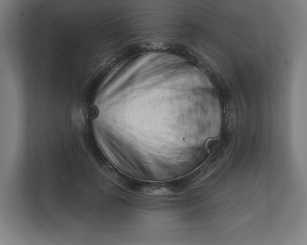 X0000110860747200906251208