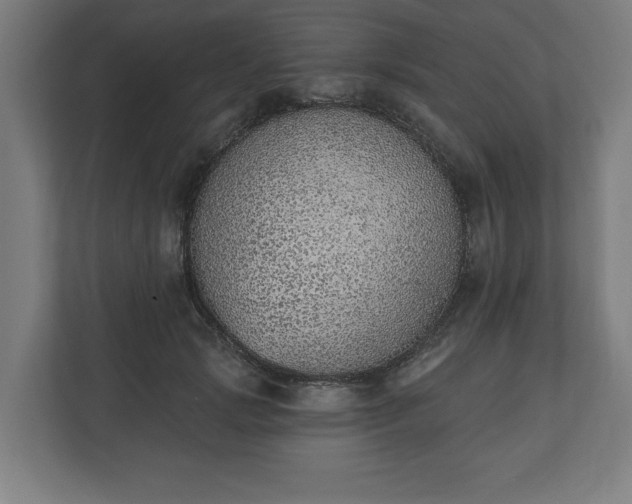 X0000110860749200906251208