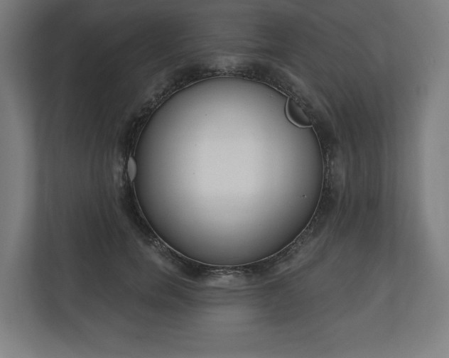 X0000110860750200906251208