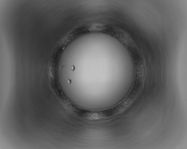 X0000110860755200906251208