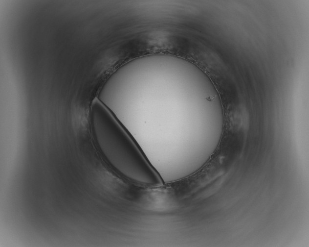 X0000110860756200906251208