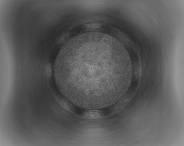 X0000110860758200906251208