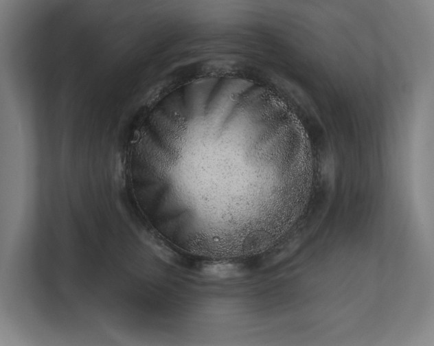 X0000110860759200906251208