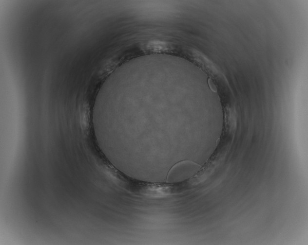 X0000110860760200906251208