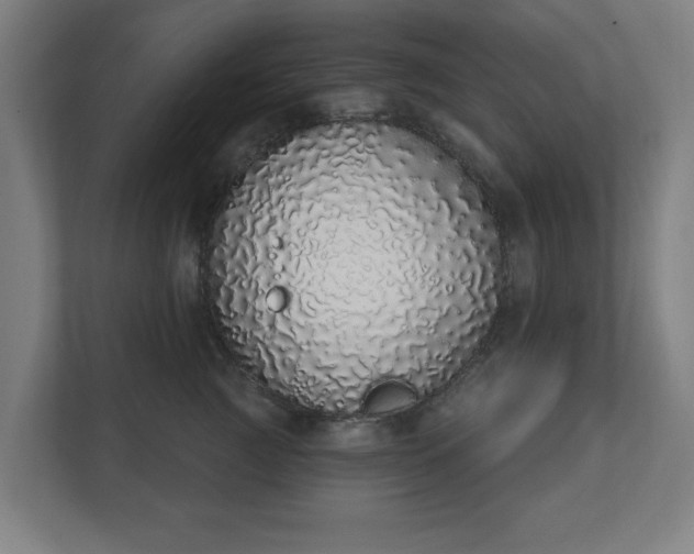 X0000110860761200906251208