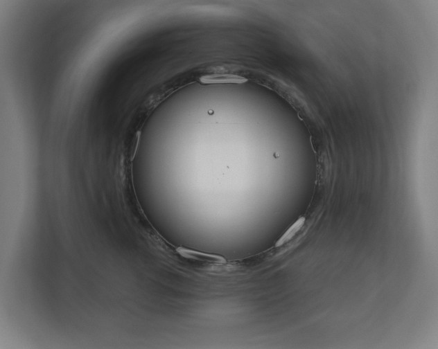 X0000110860762200906251208