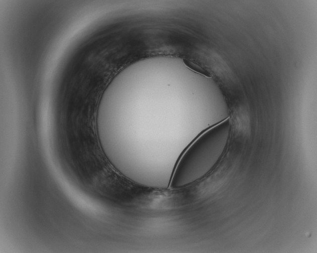 X0000110860764200906251208