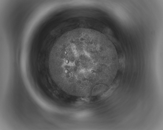 X0000110860765200906251208