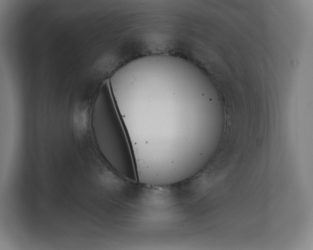 X0000110860768200906251208