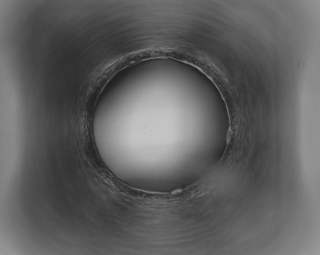 X0000110860773200906251208