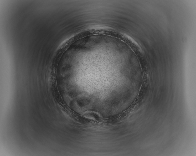 X0000110860775200906251207