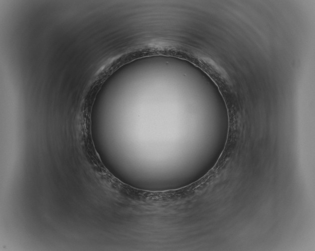 X0000110860776200906251207