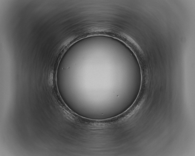 X0000110860777200906251207