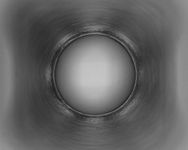 X0000110860778200906251207