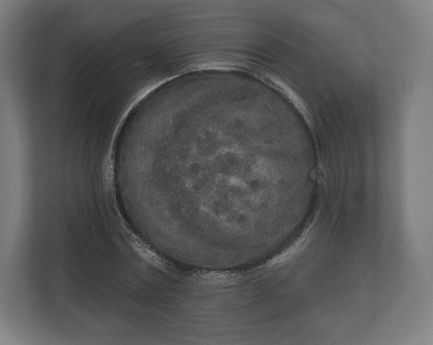 X0000110860779200906251207