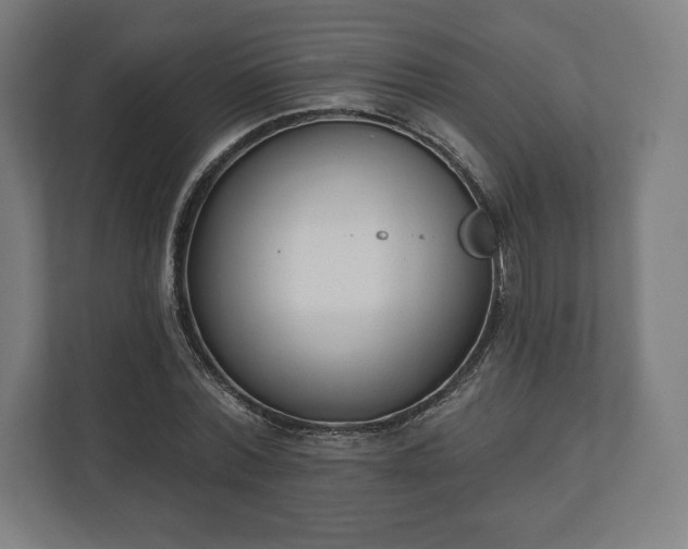 X0000110860780200906251207