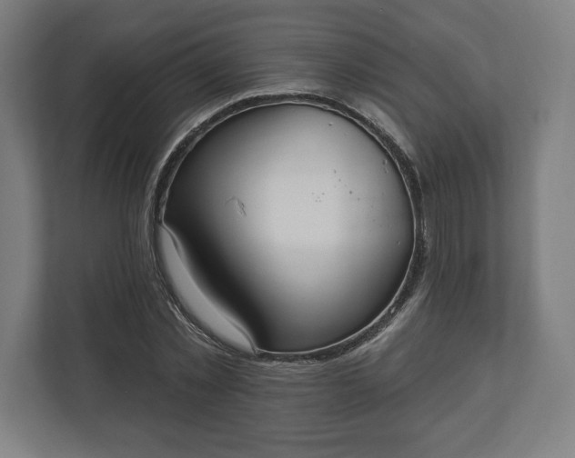 X0000110860781200906251207