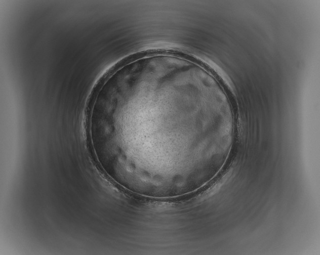 X0000110860783200906251207