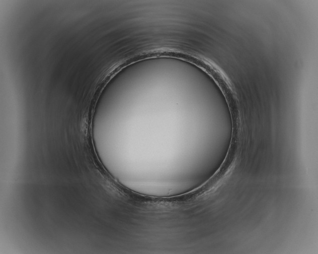 X0000110860785200906251207