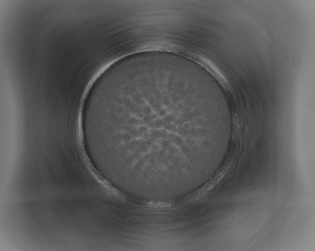 X0000110860788200906251207