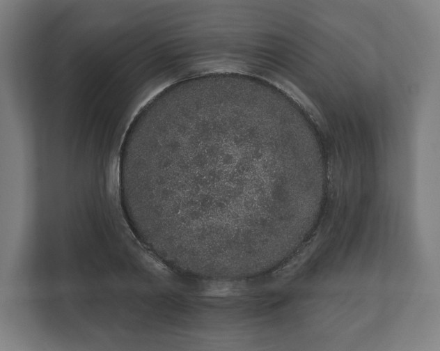 X0000110860790200906251207