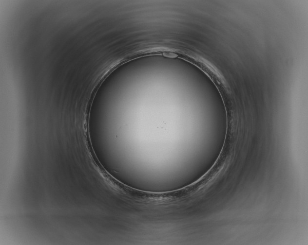 X0000110860793200906251207