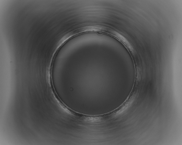 X0000110860802200906251207