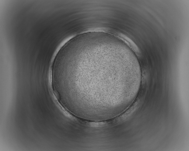 X0000110860804200906251207