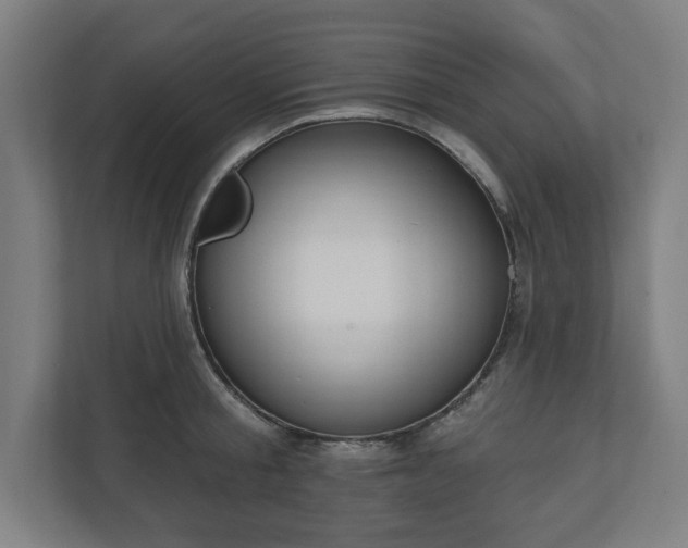 X0000110860805200906251207