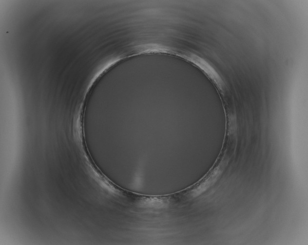 X0000110860806200906251207