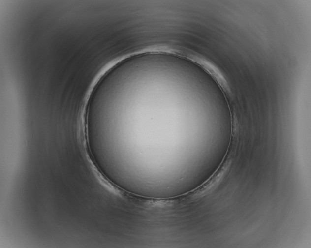 X0000110860808200906251207