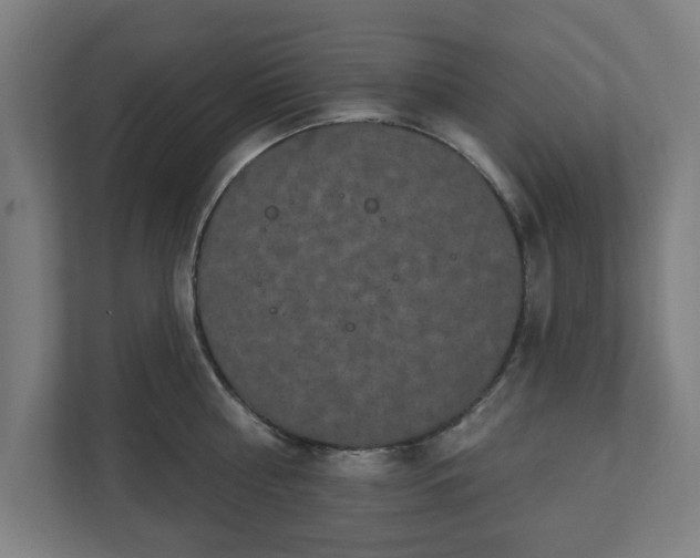 X0000110860810200906251207