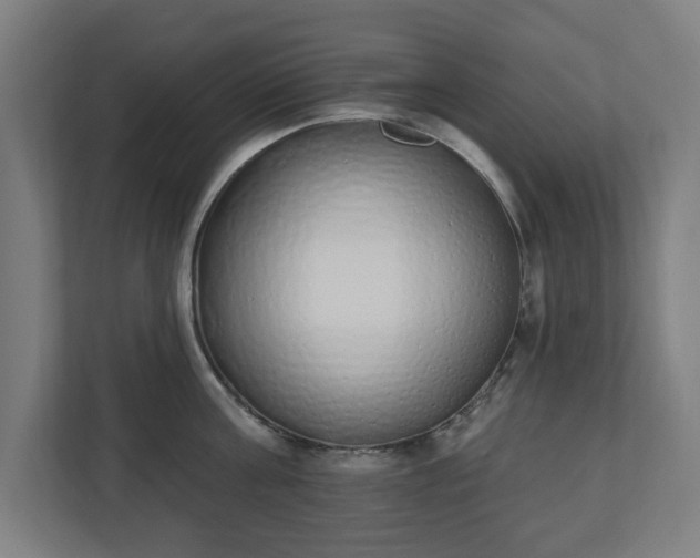 X0000110860811200906251207