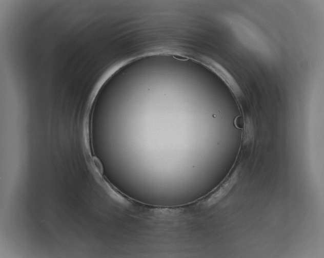 X0000110860812200906251207